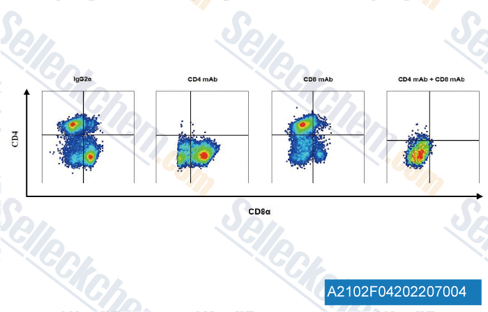 A2102  Anti-mouse CD8-alpha-InVivo-3.gif